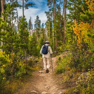 Senior man hiking in Colorado forest in autumn; pine tress on both sides